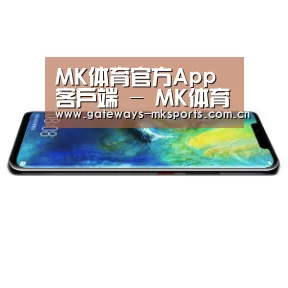 华为无线快充手机