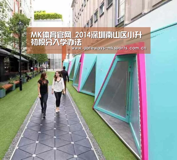 MK体育官网_2014深圳南山区小升初积分入学办法(图3) MK SPORT
