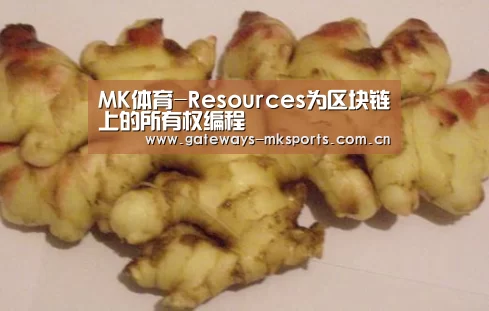 MK体育-Resources为区块链上的所有权编程(图1) MK体育官网