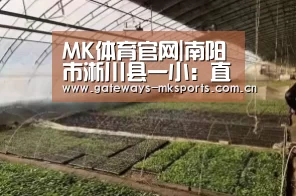 MK体育官网|南阳市淅川县一小:直播战“疫”作文课生命教育撼人心(图1) MK体育官网