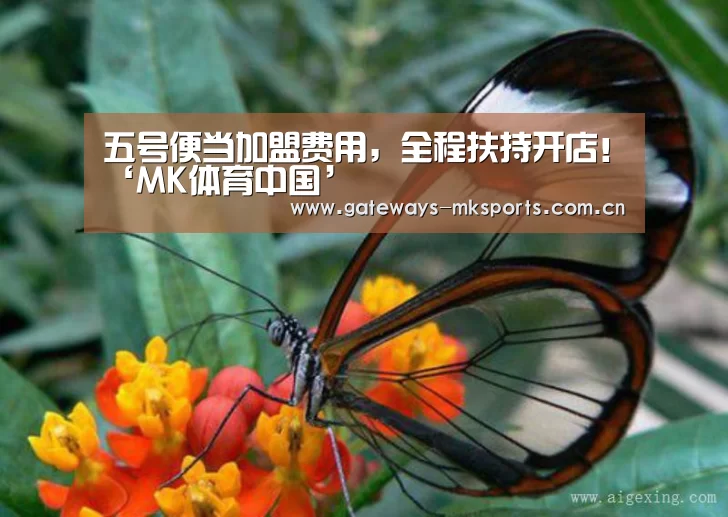 五号便当加盟费用,全程扶持开店!‘MK体育中国’(图2) MK SPORT