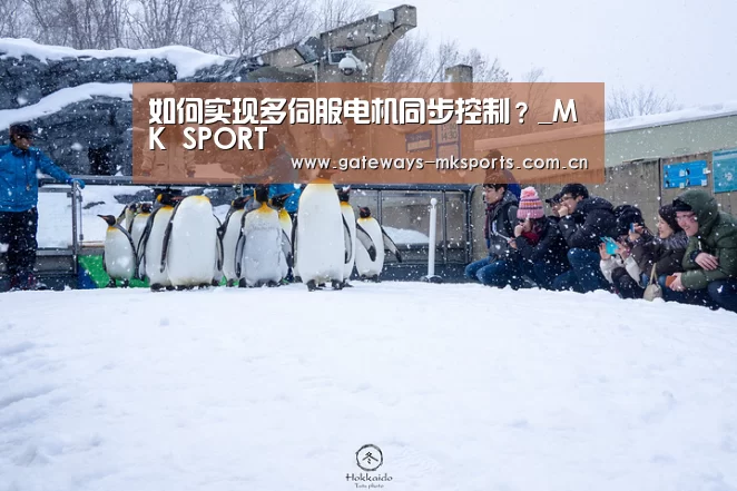 MK体育中国