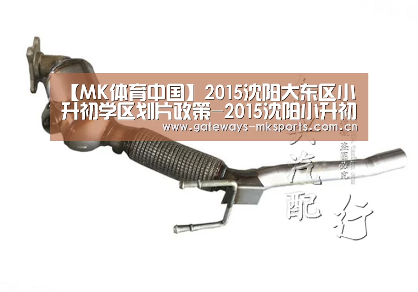【MK体育中国】2015沈阳大东区小升初学区划片政策-2015沈阳小升初(图2) MK体育