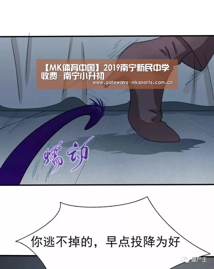 【MK体育中国】2019南宁新民中学收费-南宁小升初(图1) MK体育